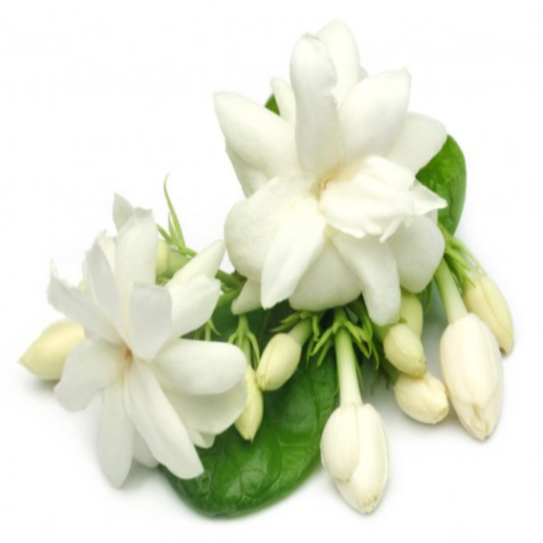 ORGANIC DEODORANT- JASMINE FRAGRANCE - FOR WOMEN-4
