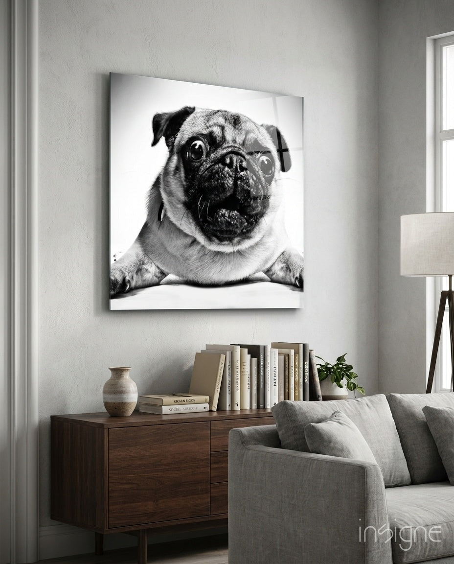 Pug Glass Wall Art