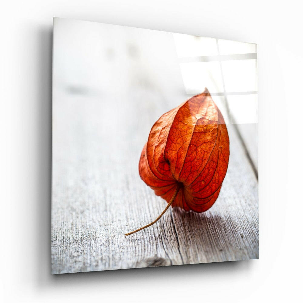 Dry Leaf Glass Wall Art-0