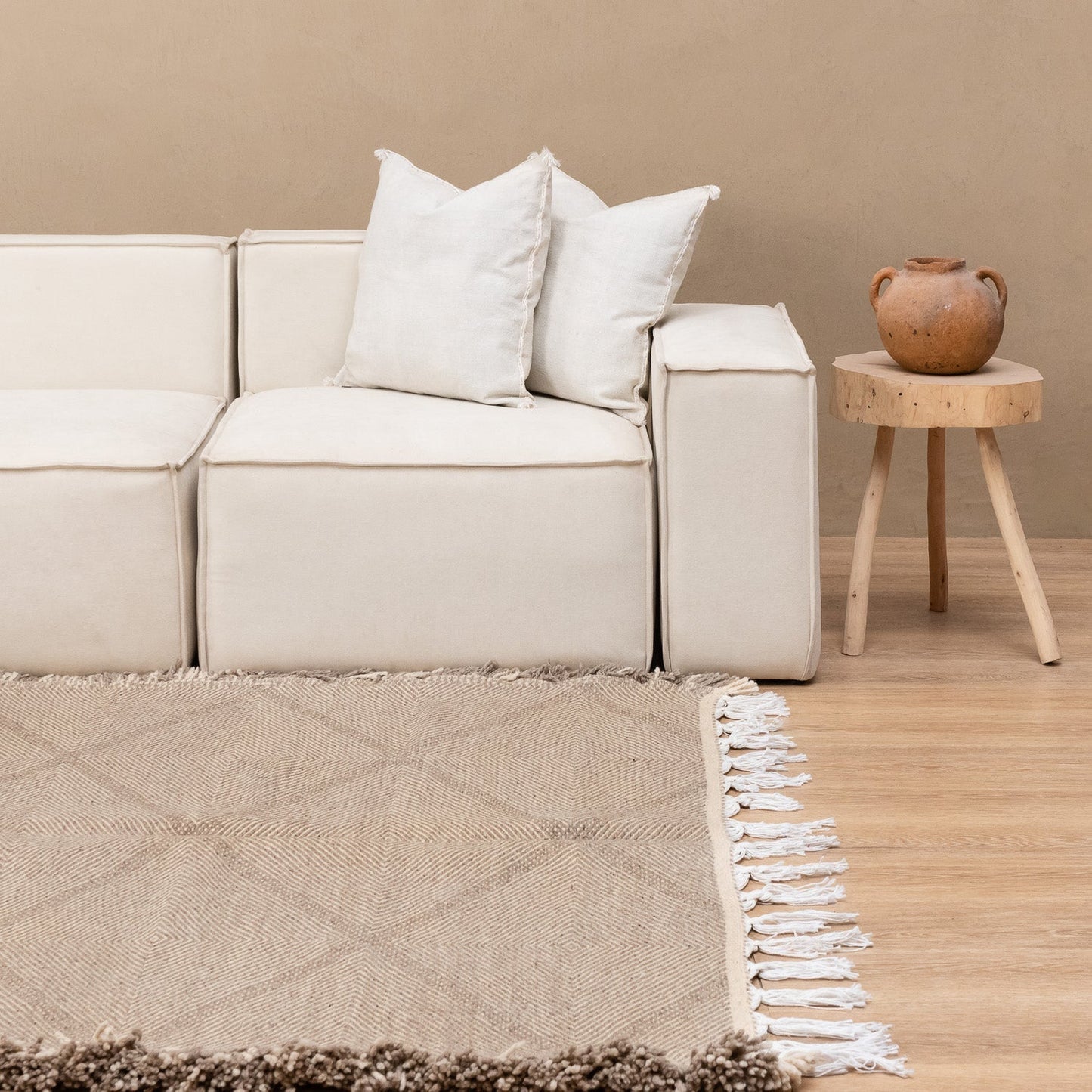 Kamel - taznakht kilim rug-1