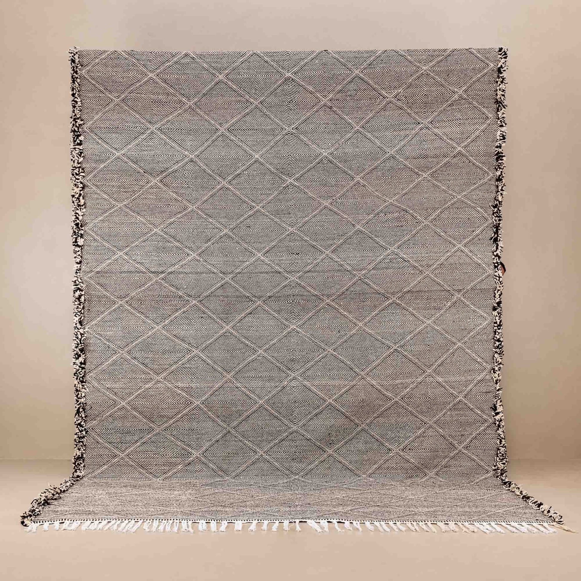 Jawida - taznakht kilim rug-0