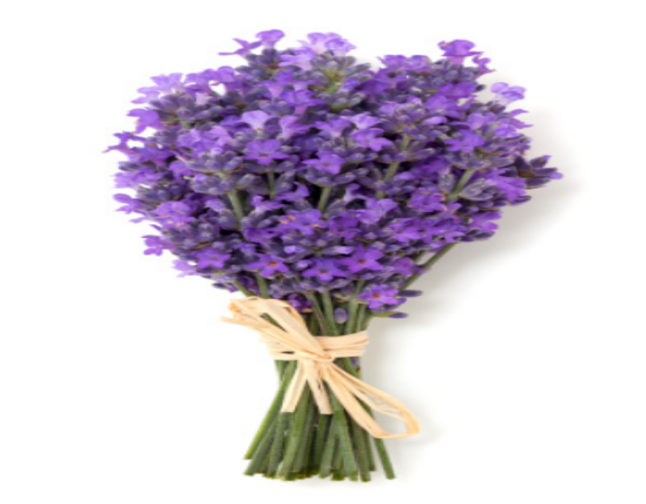 Exfoliating Organic Body Scrub - Lavender Fragrance-3