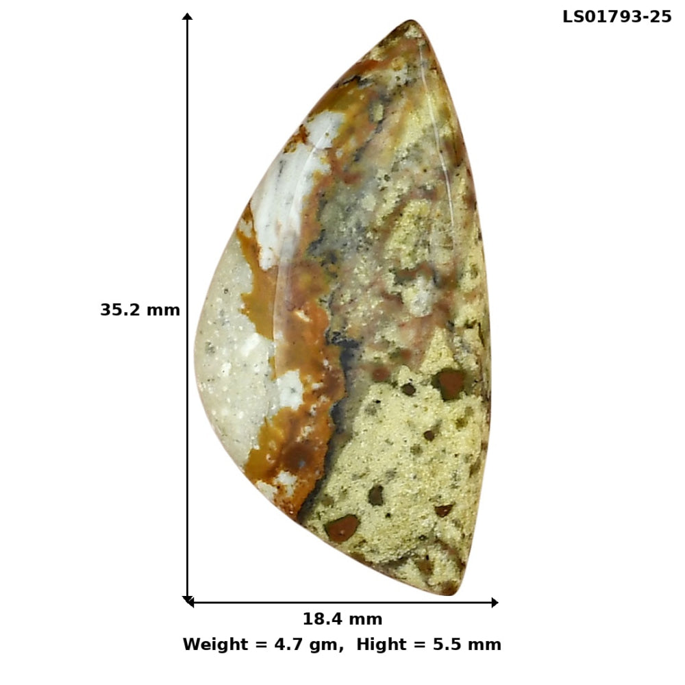 Rocky Butte Picture Jasper 35.2x18.4x5.5 mm Fancy Gemstone LS01793-25-2