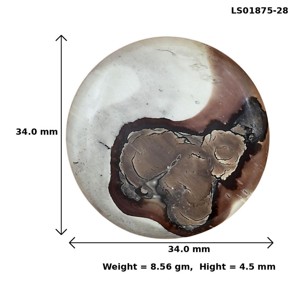 Coffee Bean Jasper 34x34x4.5 mm Round Gemstone LS01875-28-2