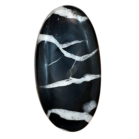 Black Septarian 31.35x16.5x5.7 mm Oval Gemstone LS02887-47-0