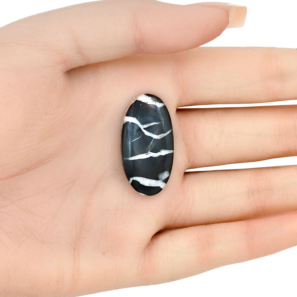 Black Septarian 31.35x16.5x5.7 mm Oval Gemstone LS02887-47-1