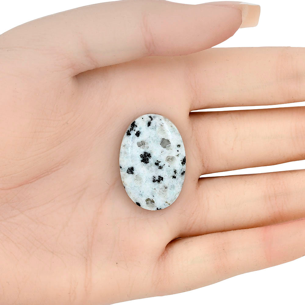 Sesame Jasper 28.75x19.8x5.6 mm Oval Gemstone LS02947-48-1