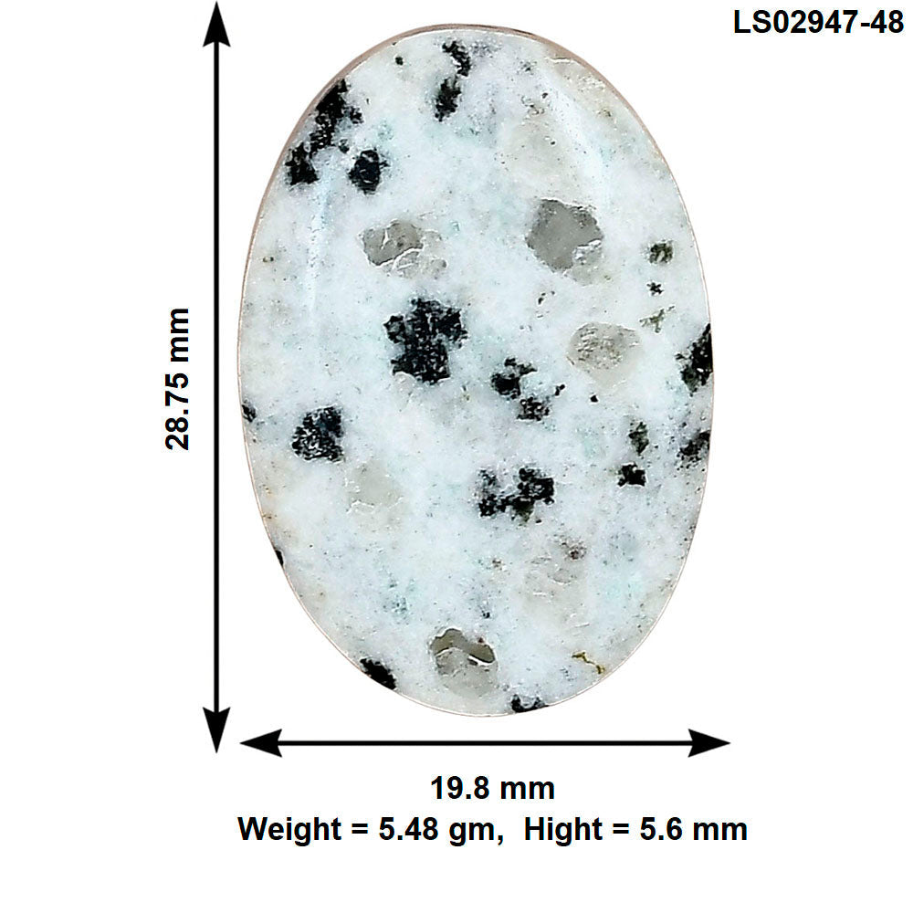Sesame Jasper 28.75x19.8x5.6 mm Oval Gemstone LS02947-48-2