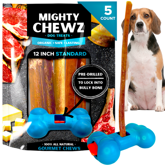 12" Standard Bully Sticks - Bully Bone Included-0