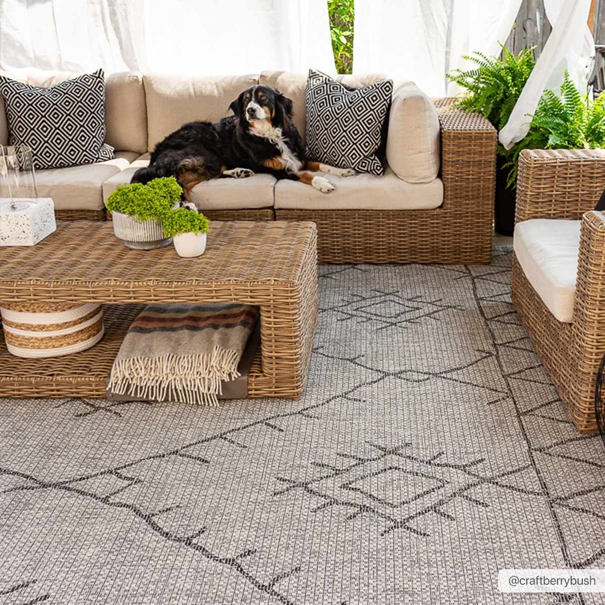 Marwood Nordic Performance Rug-2