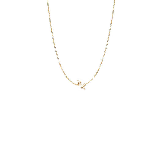 Mini Zodiac Necklace