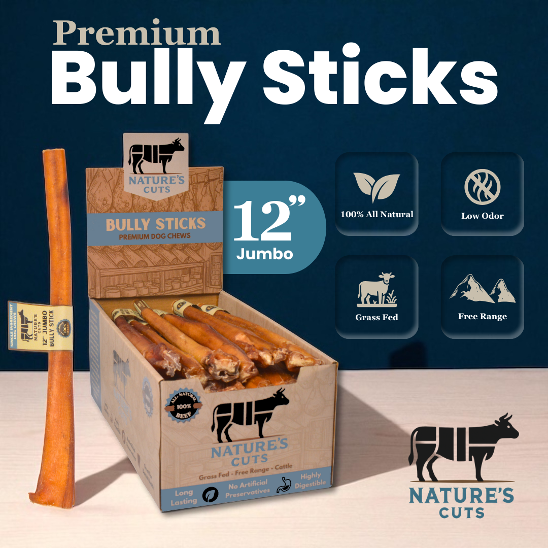 12" Jumbo Bully Sticks Display Box-1