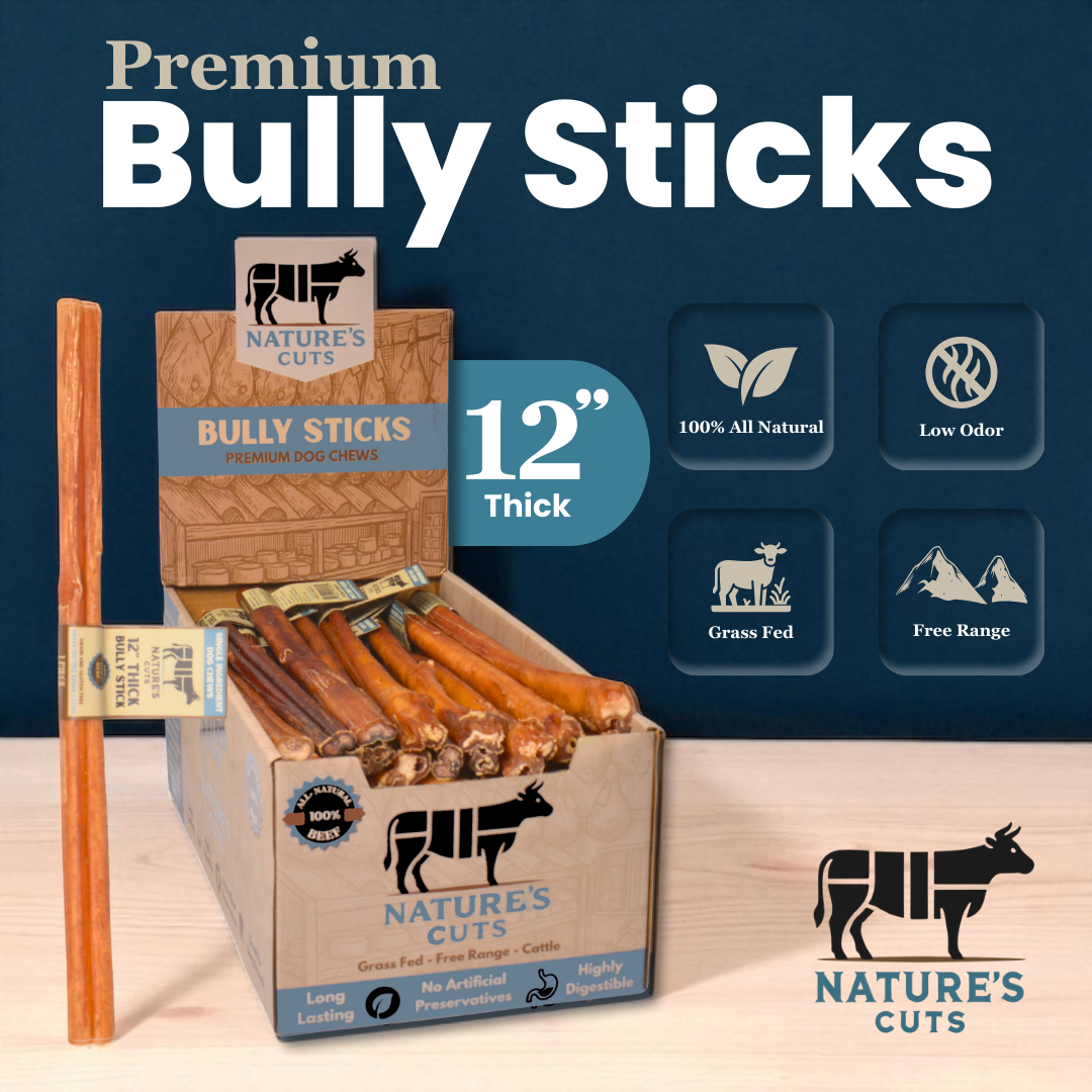 12" Thick Bully Sticks Display Box-1