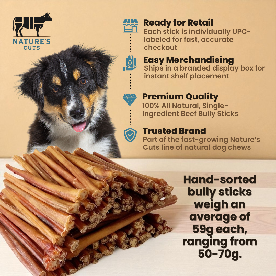 12" Thick Bully Sticks Display Box-2