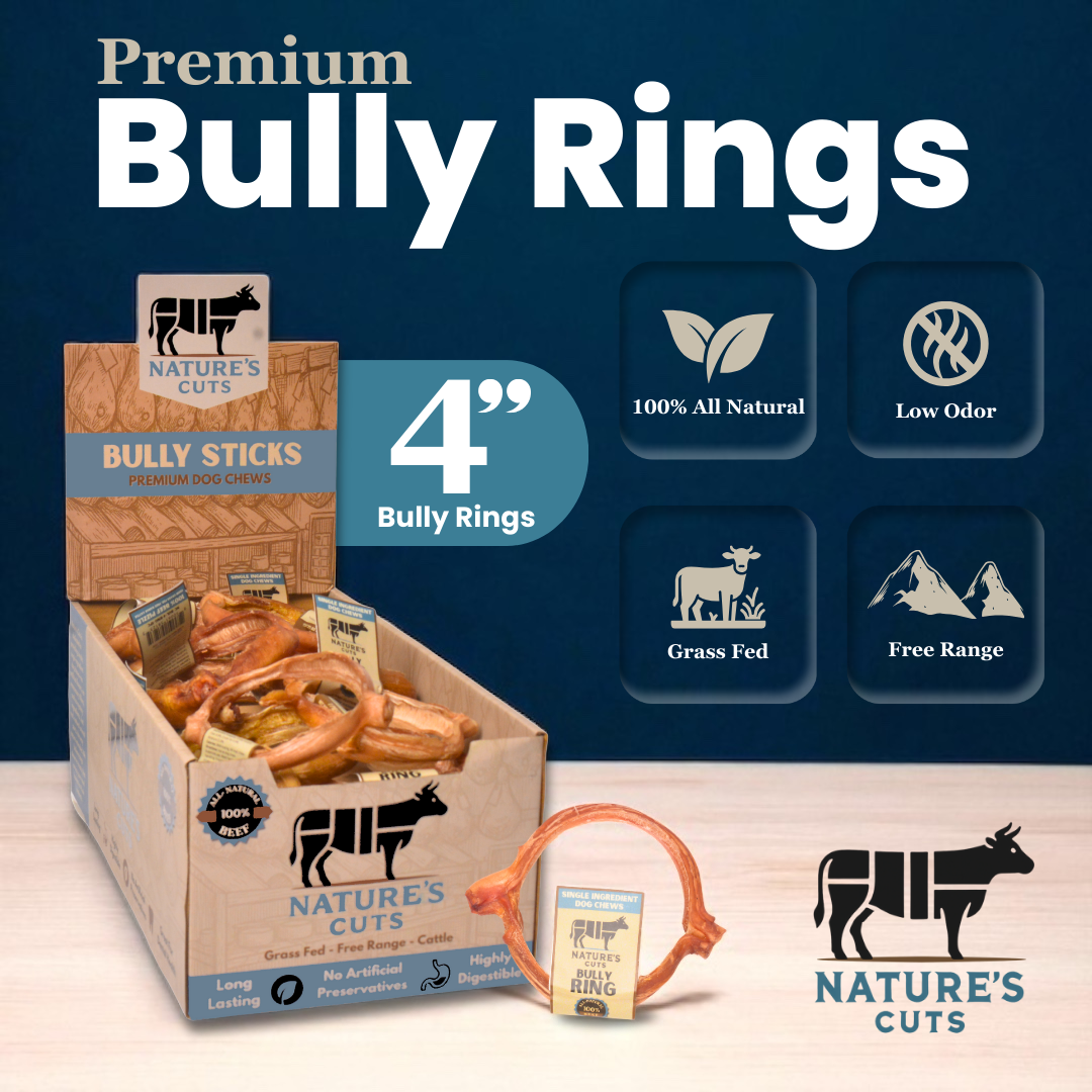 4" Bully Rings Display Box-1