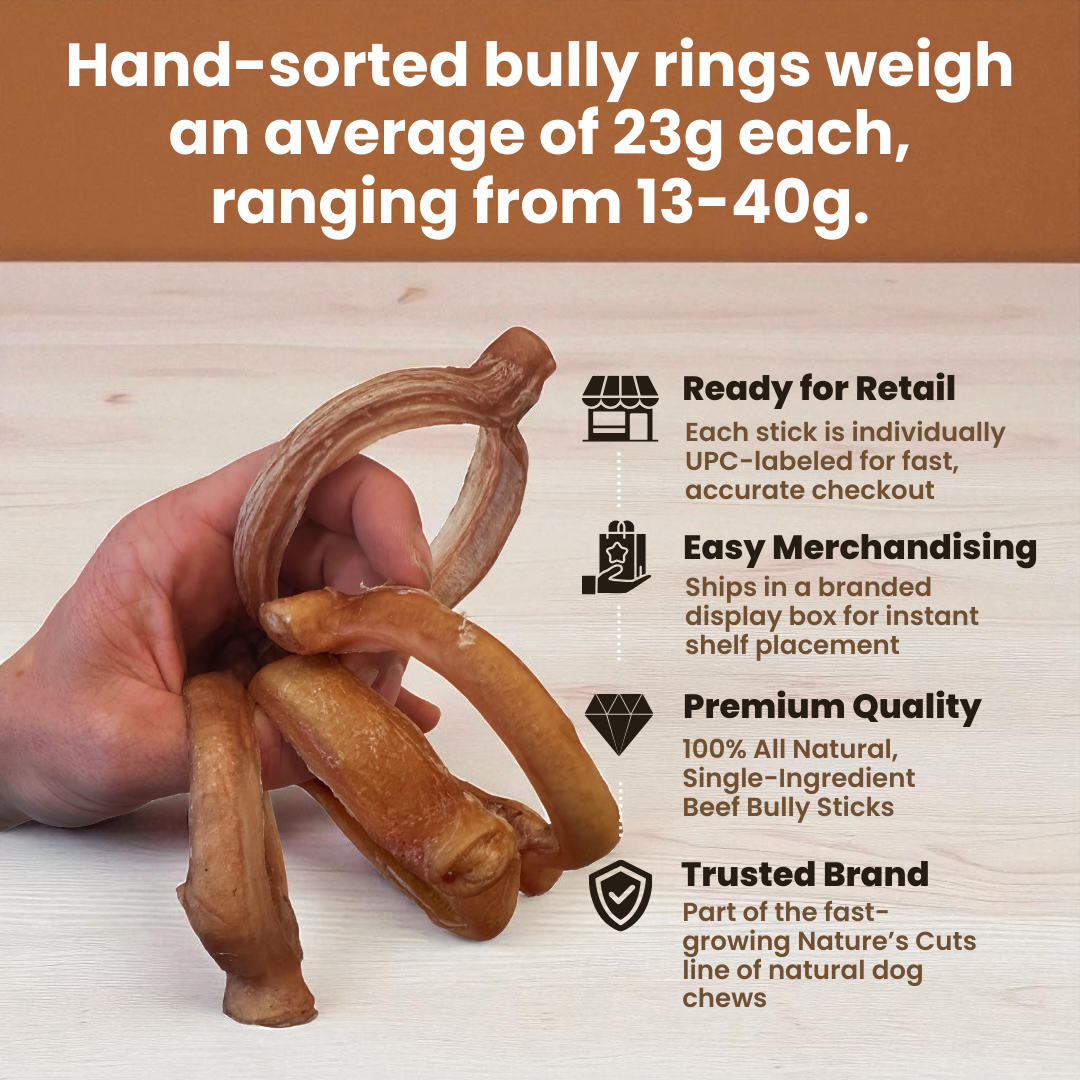 4" Bully Rings Display Box-2