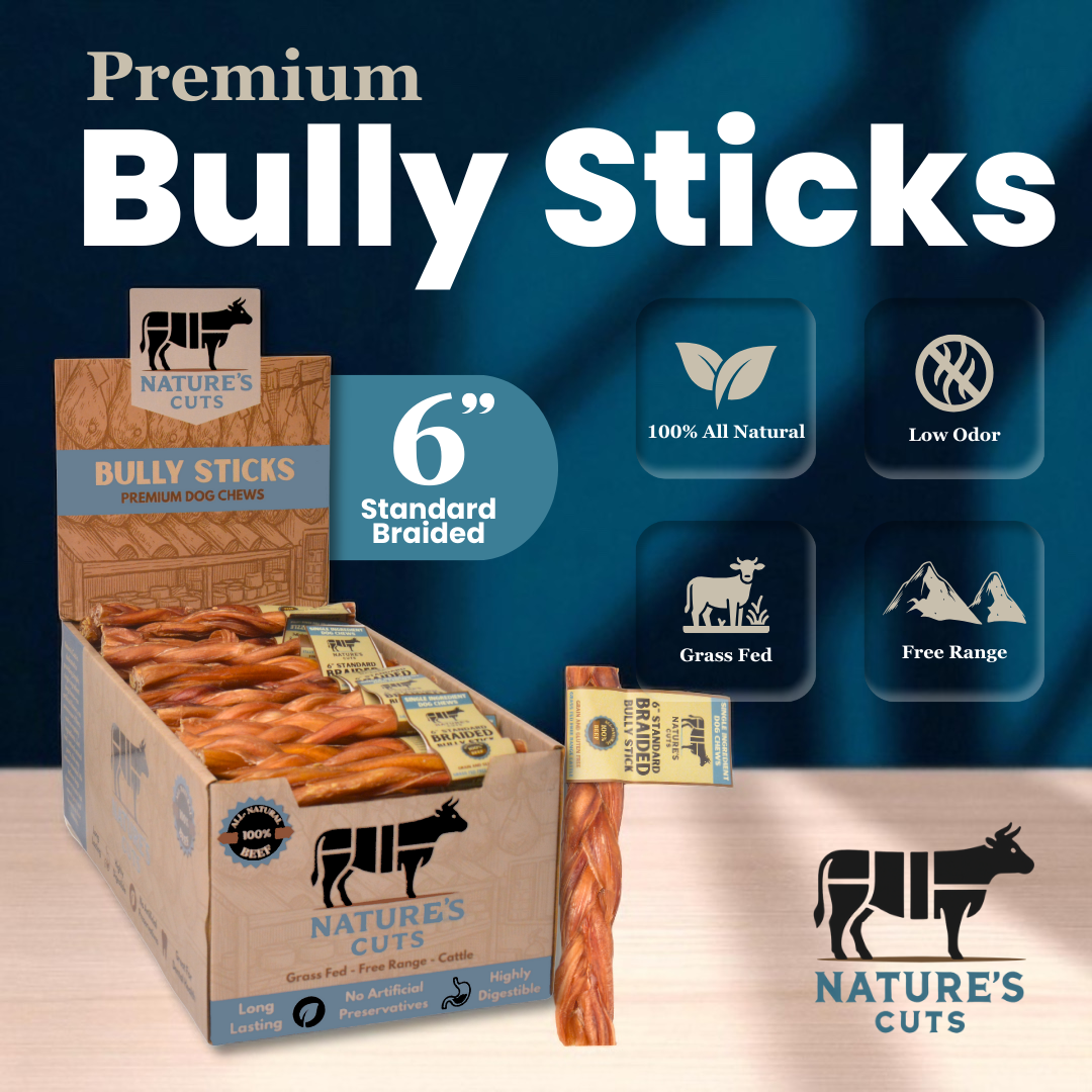 6" Standard Braided Bully Sticks Display Box-1