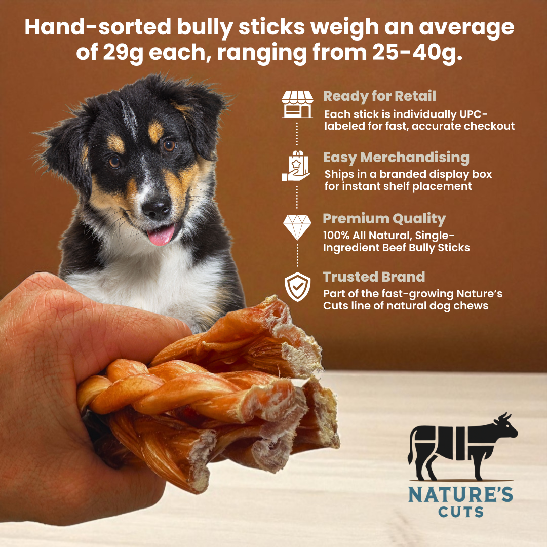 6" Standard Braided Bully Sticks Display Box-2