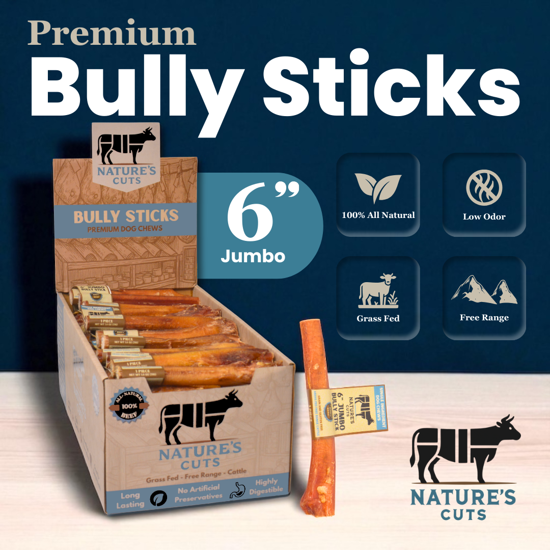 6" Jumbo Bully Sticks Display Box-1