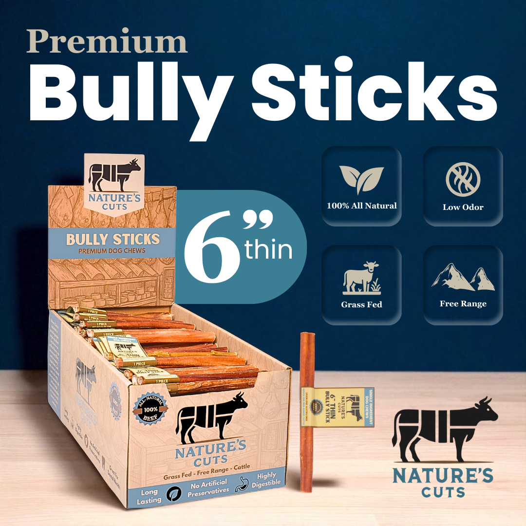 6" Thin Bully Sticks Display Box-1