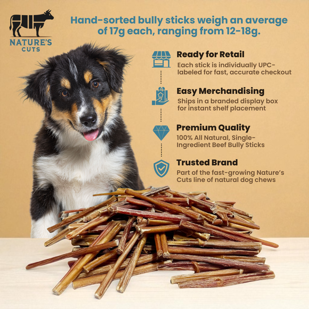 6" Thin Bully Sticks Display Box-2
