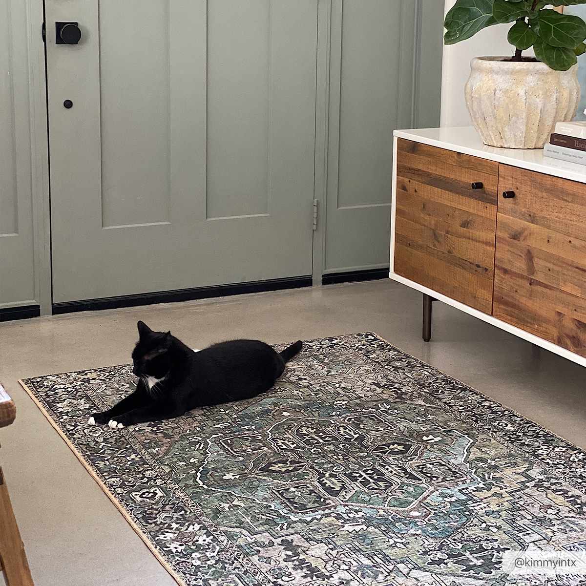 Neyland Sage Green Area Rug-1
