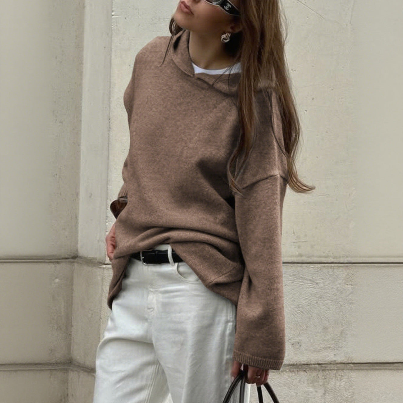 Casual Minimalist Long Sleeve Hooded Sweater Woolen
