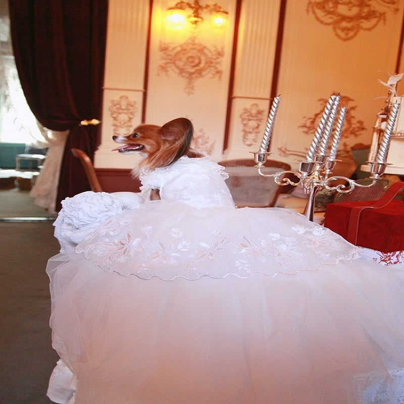 Handmade Luxury White Pet Wedding Dress Dogs Cats Bridal Gown