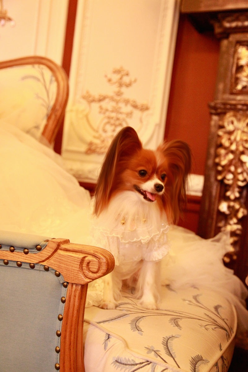 Handmade Luxury White Pet Wedding Dress Dogs Cats Bridal Gown