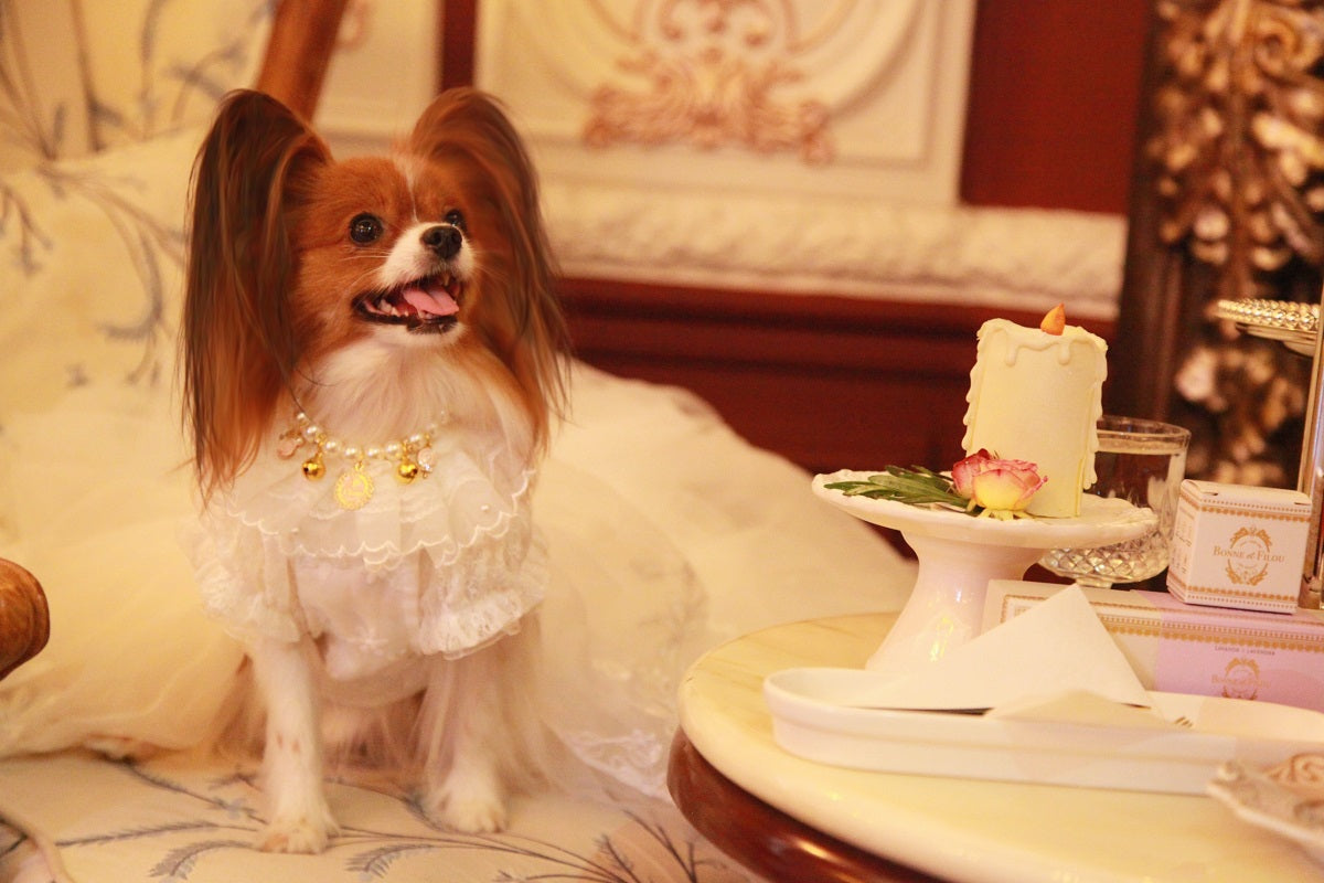 Handmade Luxury White Pet Wedding Dress Dogs Cats Bridal Gown