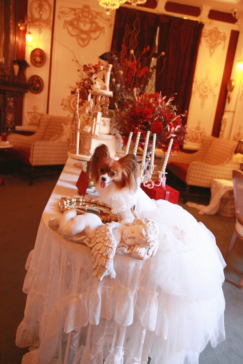 Handmade Luxury White Pet Wedding Dress Dogs Cats Bridal Gown