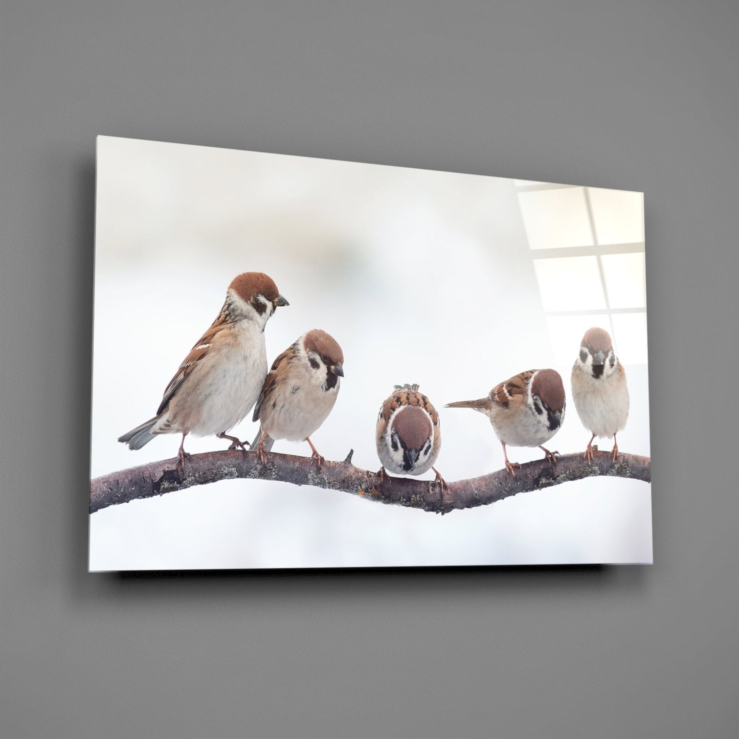 Birds Glass Wall Art-1