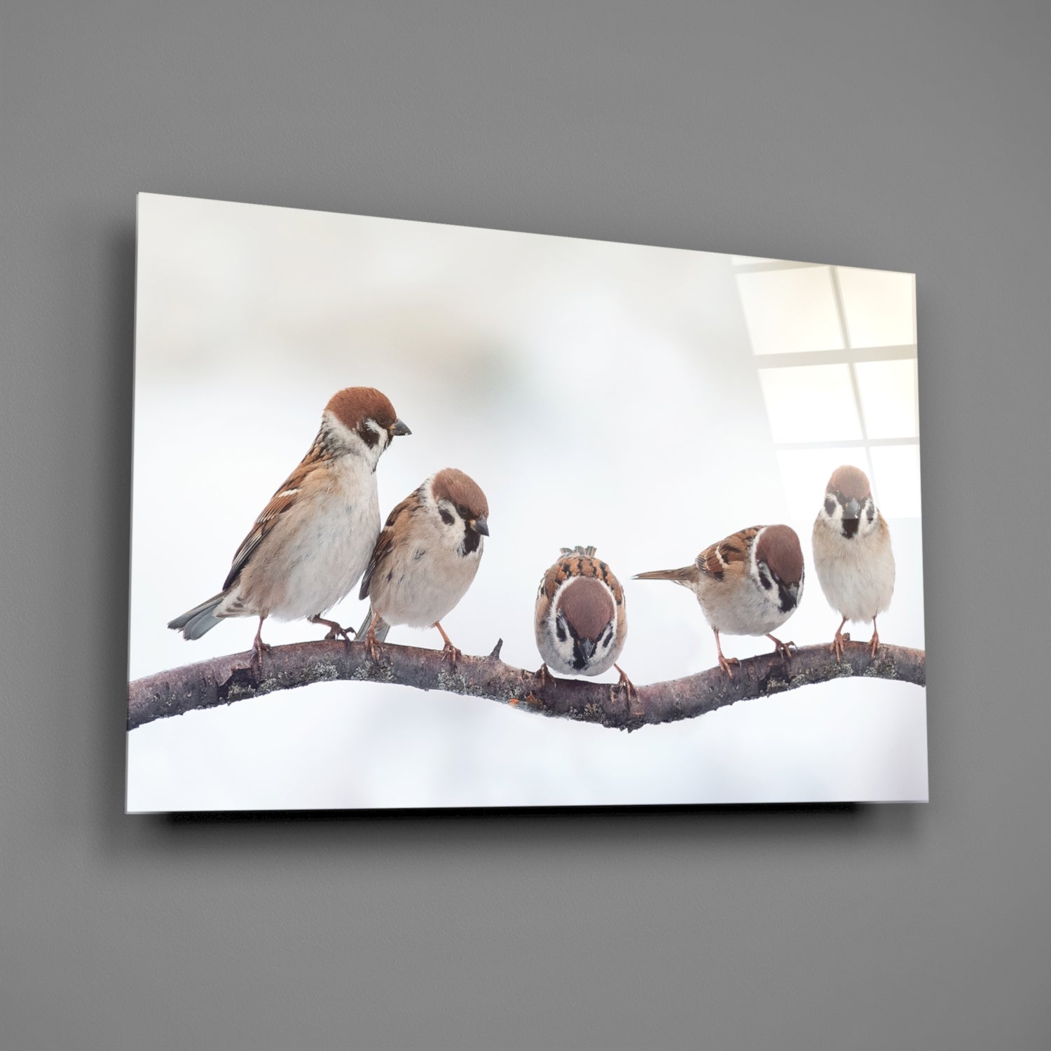 Birds Glass Wall Art-1
