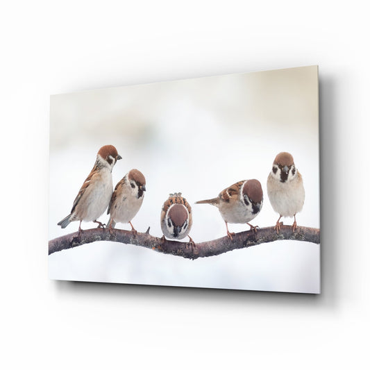 Birds Glass Wall Art-0