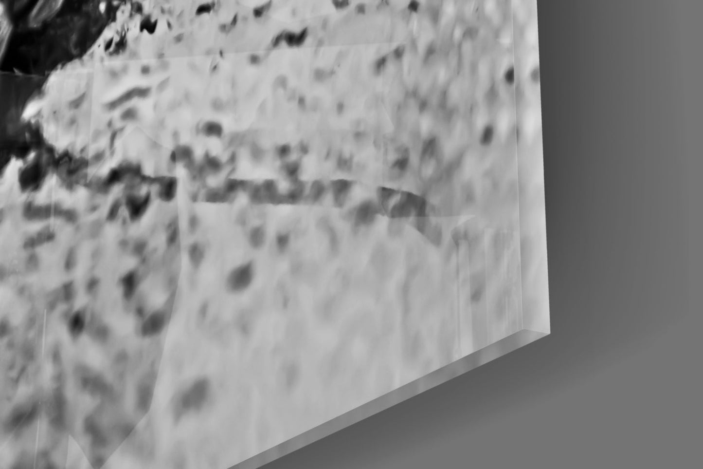 Leaf Glass Wall Art