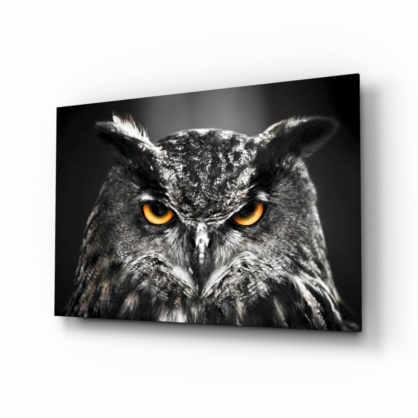 Owl Glass Wall Art