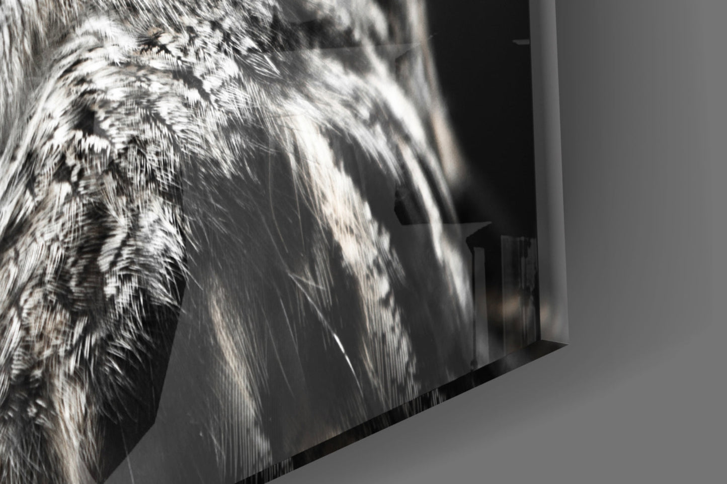 Owl Glass Wall Art