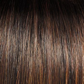 Raquel Welch Bella Vida Wig