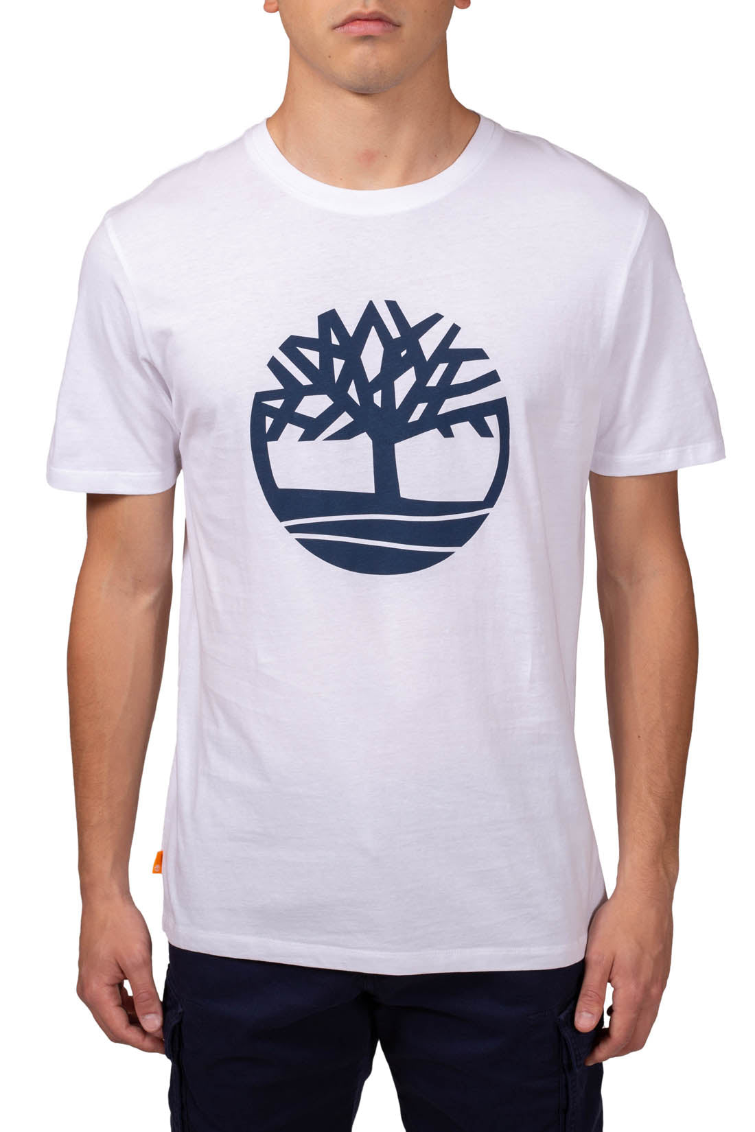 TIMBERLAND - Men's logo tree T-shirt - Size M-22
