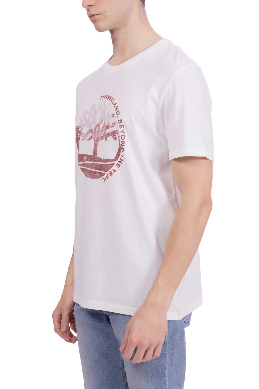 TIMBERLAND - Men's regular T-shirt with graphic print  - Size 3XL-13