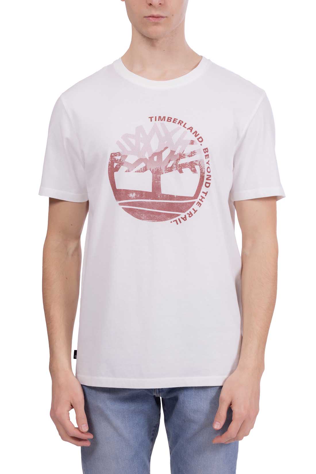 TIMBERLAND - Men's regular T-shirt with graphic print  - Size 3XL-27