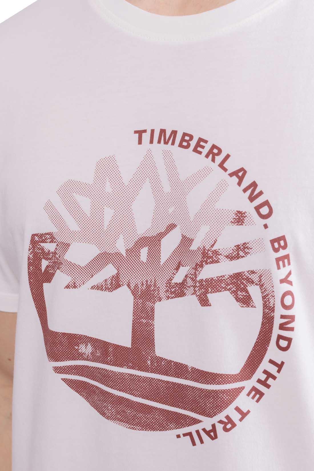 TIMBERLAND - Men's regular T-shirt with graphic print  - Size 3XL-4