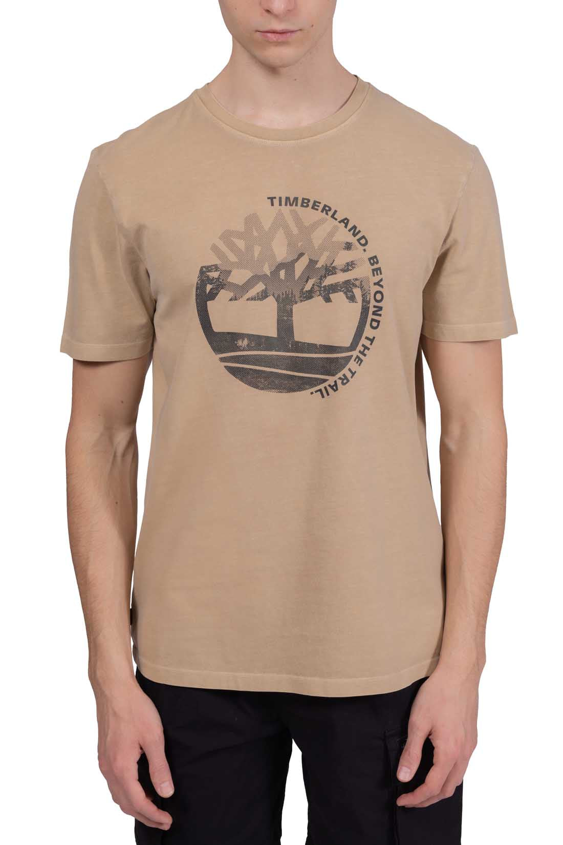 TIMBERLAND - Men's regular T-shirt with graphic print  - Size 3XL-47