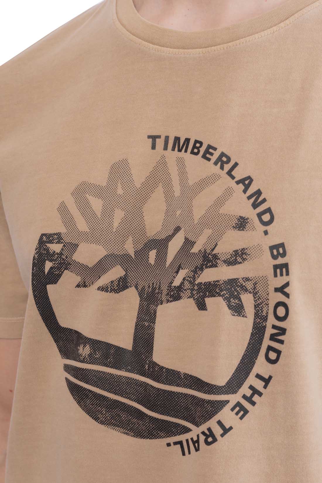 TIMBERLAND - Men's regular T-shirt with graphic print  - Size 3XL-36