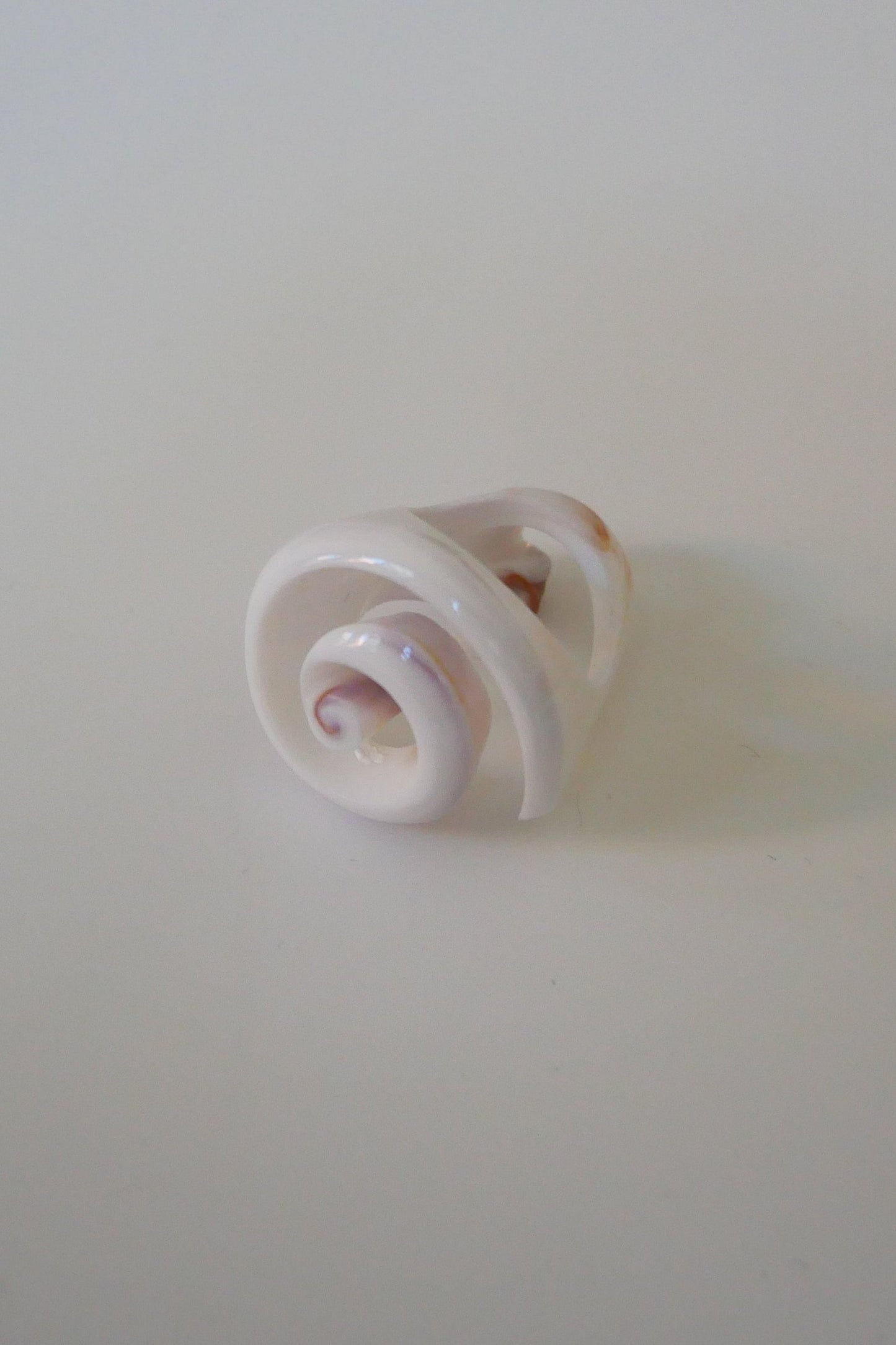 Spiral Shell Ring
