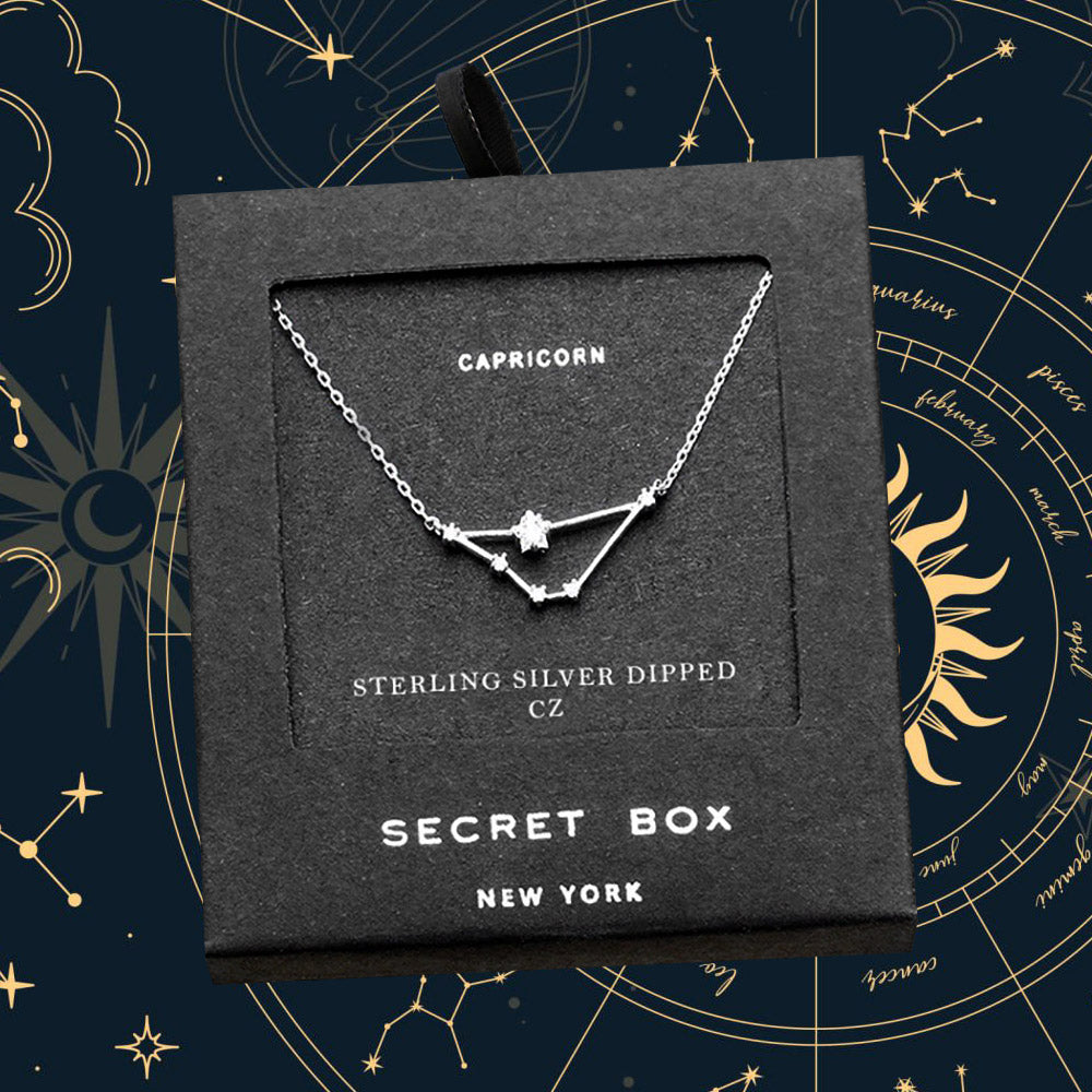 Secret Box _ Sterling Silver Dipped CZ Capricorn Zodiac Sign Pendant Necklace
