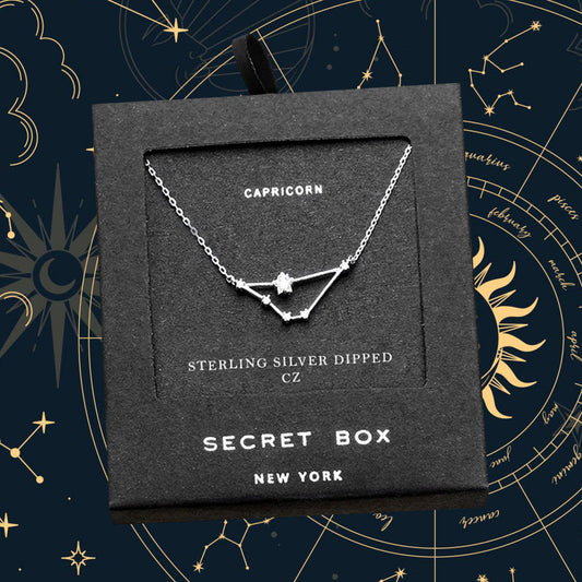 Secret Box _ Sterling Silver Dipped CZ Capricorn Zodiac Sign Pendant Necklace