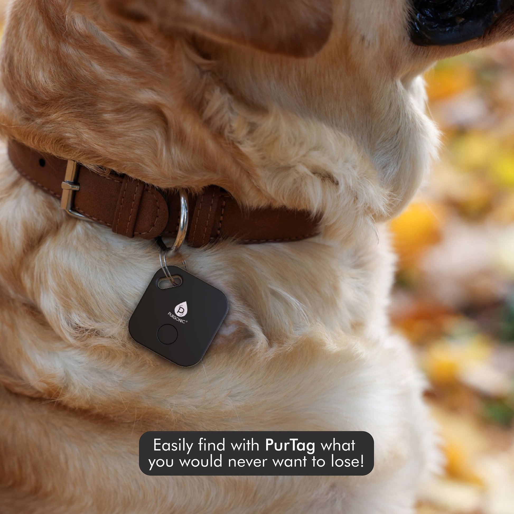 Purtag Trackers - Ultimate Solution for Keeping Tabs on Your Belongings-2