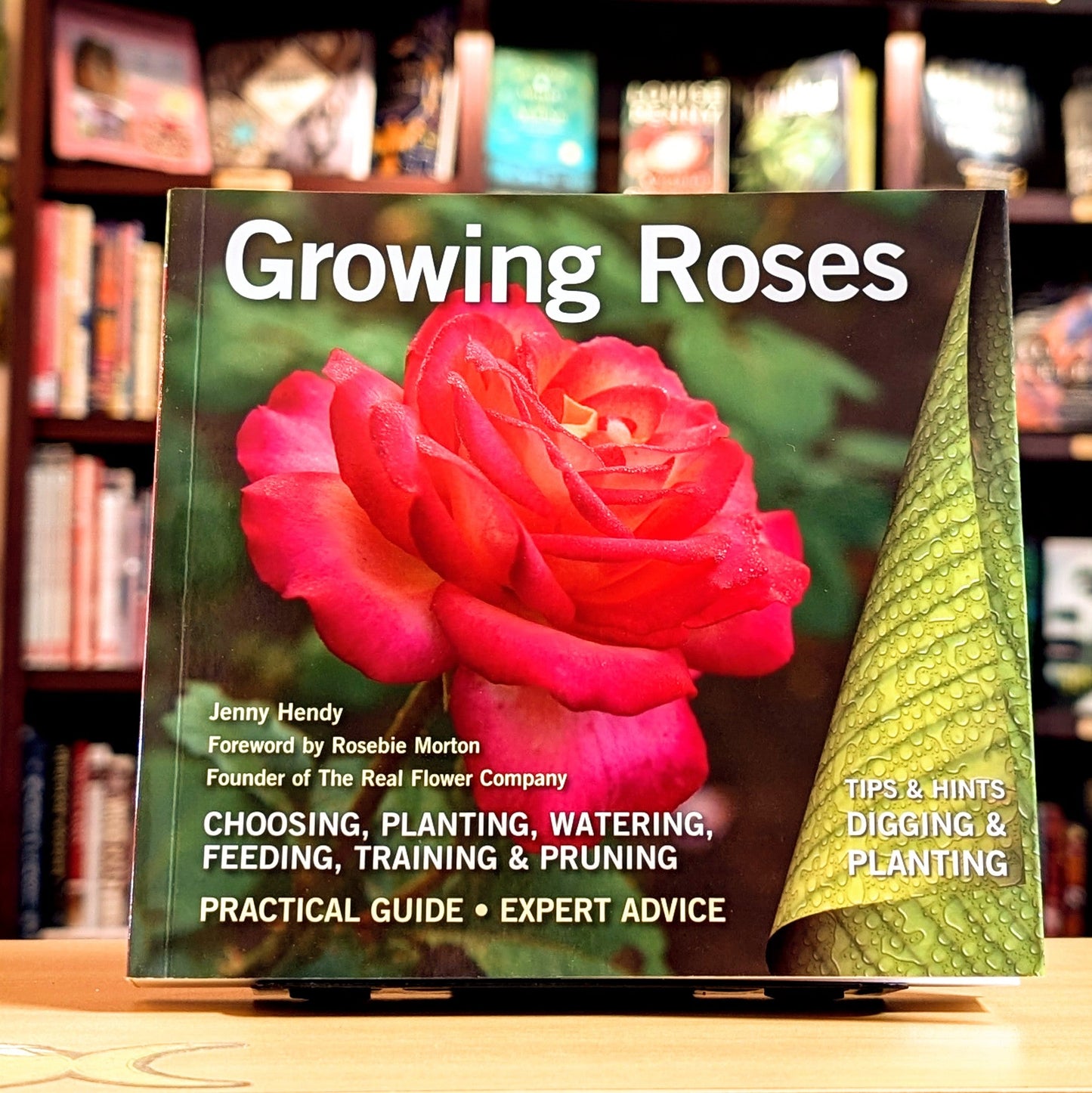 Growing Roses: Plan, Plant and Maintain (Digging and Planting)