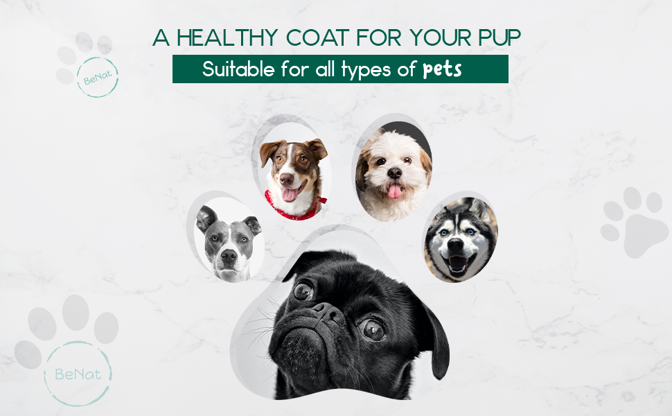 BeNat Pets. All-Natural Pet Shampoo Bar. Oat. 5.8 oz.-4